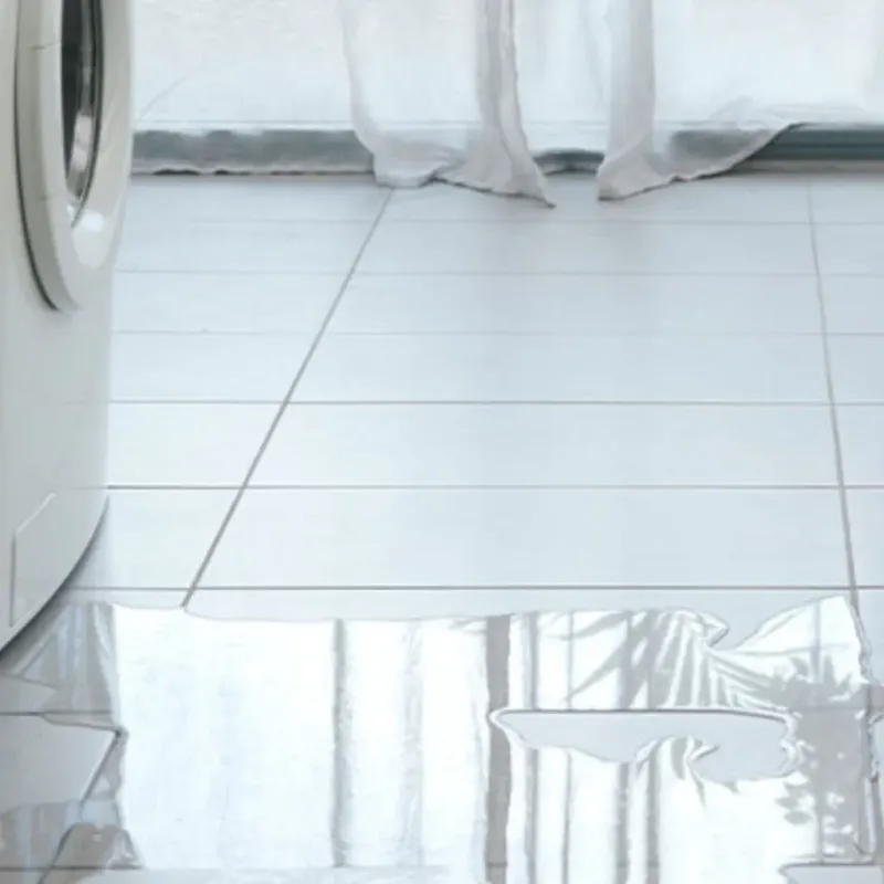 Appliance Leak Cleanup in Robertson County, TN