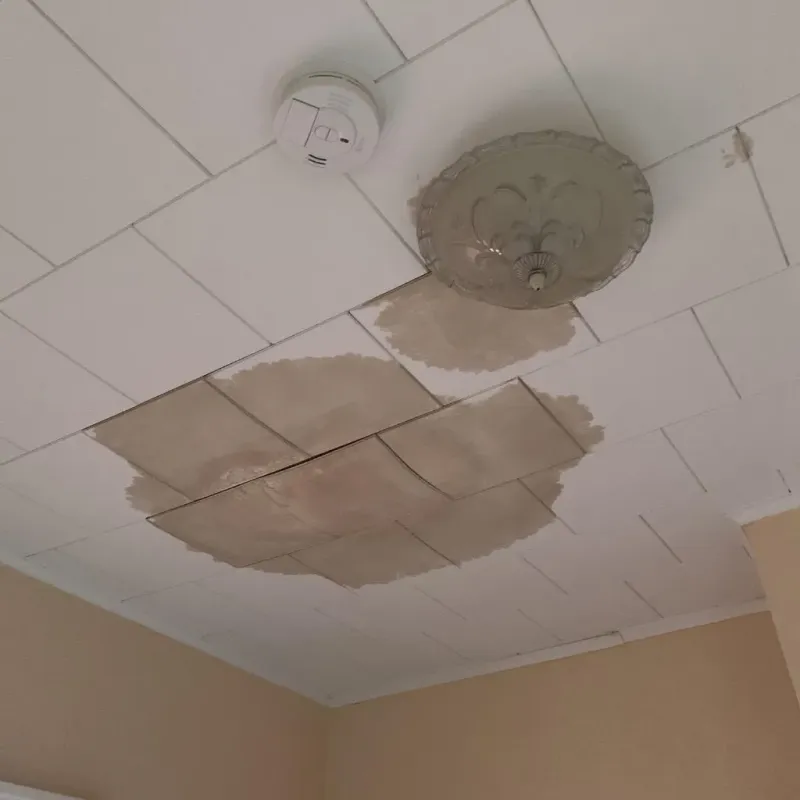 Ceiling Water Damage Repair in Robertson County, TN