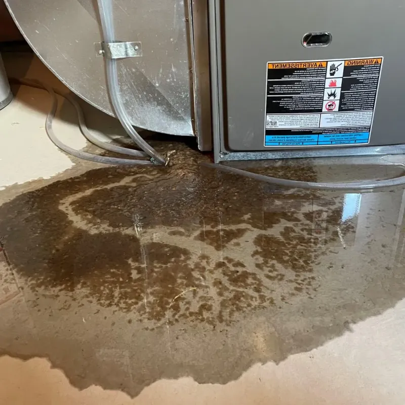 Pipe Burst and Leak Restoration in Robertson County, TN