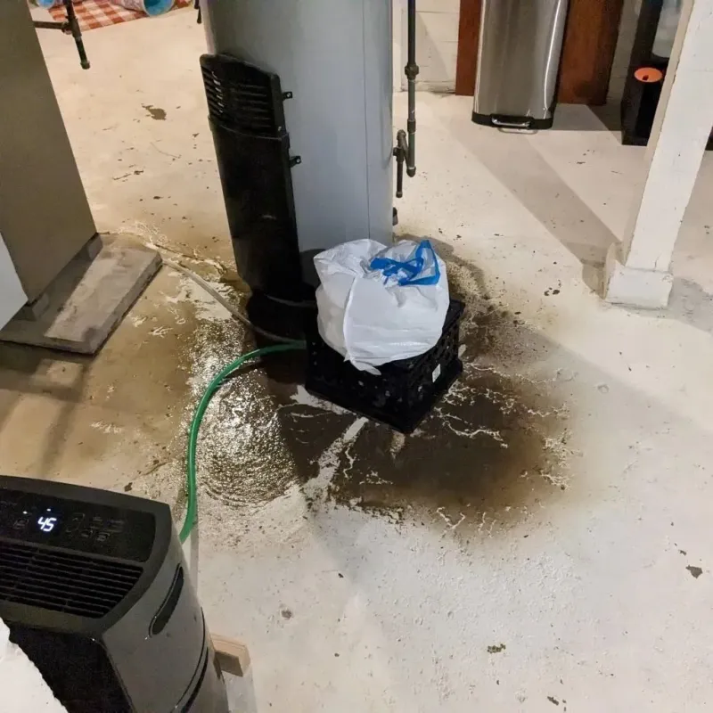 Sewage Backup Cleanup Service in Robertson County, TN